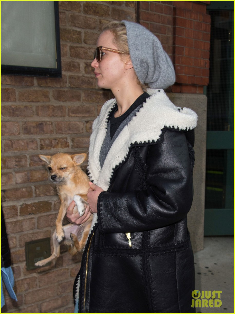 Jennifer Lawrence Carries Her Adorable Dog in NYC Before Thanksgiving