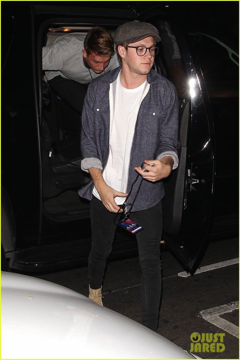 Niall Horan Gets All Access Pass to Coldplay's Concert | Photo 897351 ...