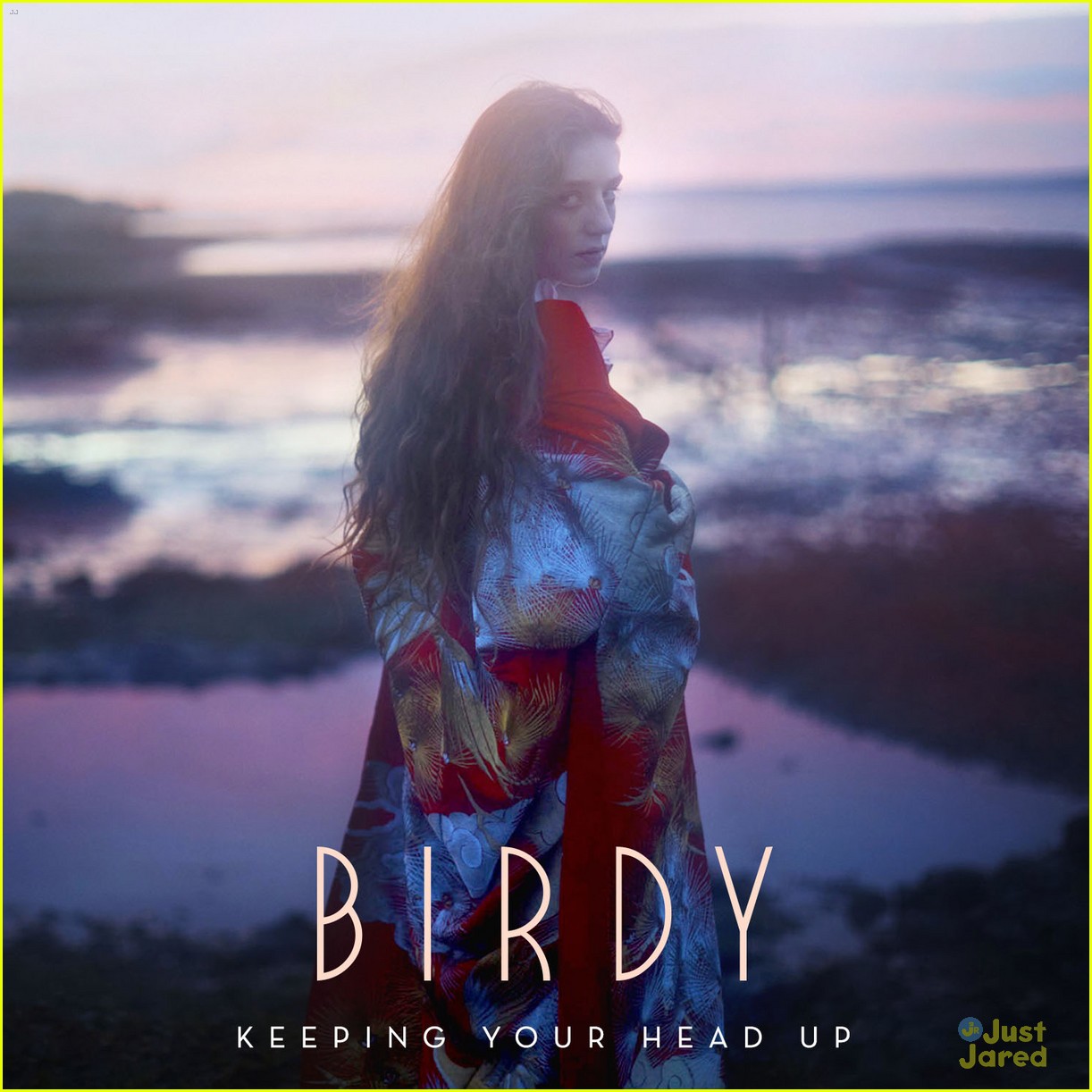 Birdy Drops 'Keeping Your Head Up' Single - Listen Now! | Photo 911040 ...
