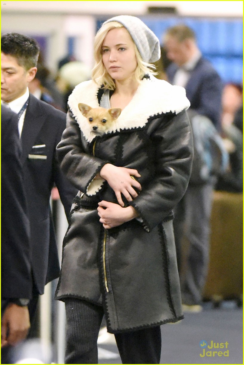 Full Sized Photo of jennifer lawrence dog coat jfk airport 07