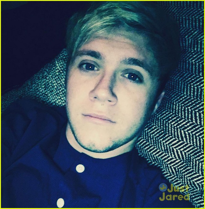 Niall Horan Shares Adorable Selfie in Bed! | Photo 911319 - Photo ...