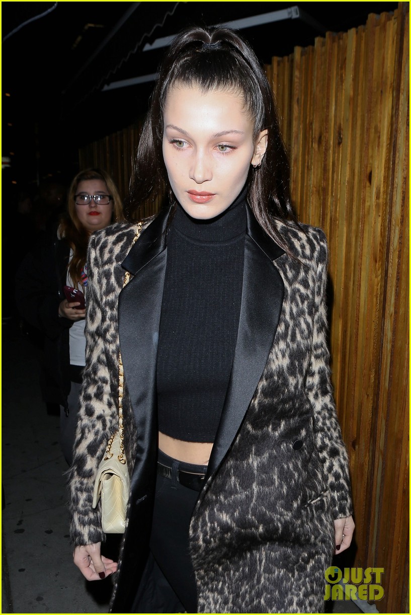 Bella Hadid Snaps Pics with Fans After Night Out in LA | Photo 932076 ...