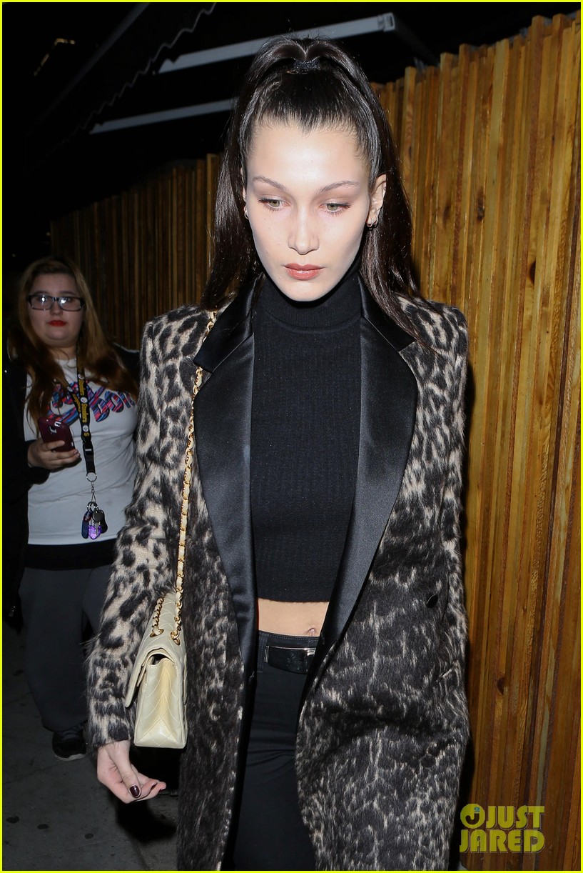 Bella Hadid Snaps Pics with Fans After Night Out in LA | Photo 932078 ...