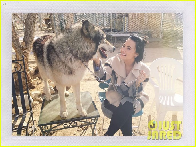 Demi Lovato Celebrates Wilmer Valderrama's Birthday at a Wolf Sanctuary(02)