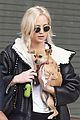 jennifer lawrence arrives in nyc with pup 01