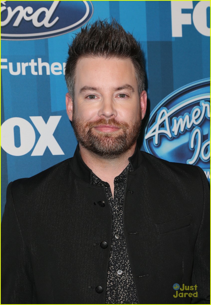 david archuleta david cook reunite idol winner comments 15