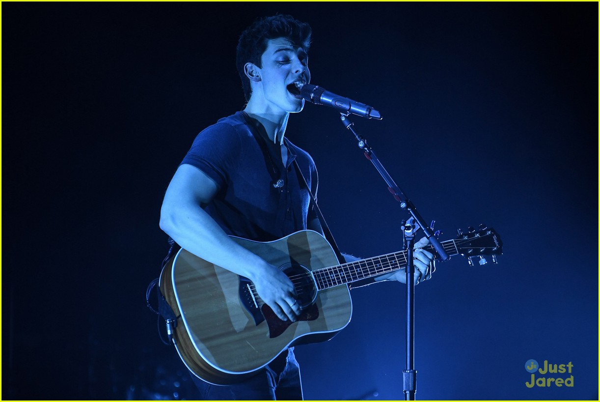 Shawn Mendes Says No One Can 'Fathom' The Success of 'Stitches' | Photo ...