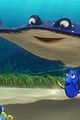 finding dory record opening animated film 04