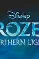 frozen northern lights book show details 03