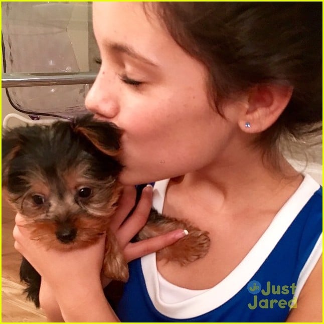 Puppy jenna dog the Jenna