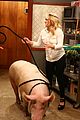 young hungry piggy stills 05