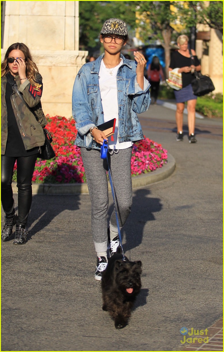 zendaya dog