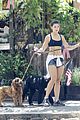 danielle campbell hike with her dogs 14