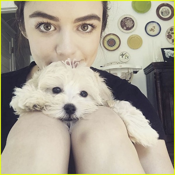 Lucy Hale Takes Family Photo with Her Sons (Her Dogs!) | Photo 991261