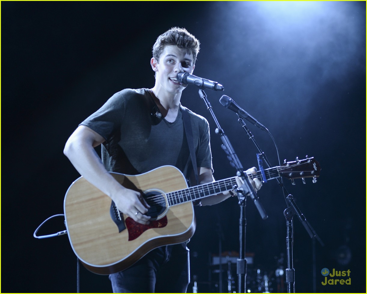 Shawn Mendes Wanted To Spread The Message About Domestic Violence with ...