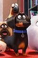 secret life of pets sequel hits theaters in 2018 06