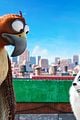 secret life of pets sequel hits theaters in 2018 10