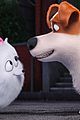 secret life of pets sequel hits theaters in 2018 14