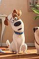 secret life of pets sequel hits theaters in 2018 17