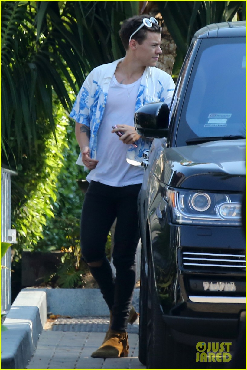 Harry Styles Grabs Lunch at Cafe Habana in LA! | Photo 1015768 - Photo ...