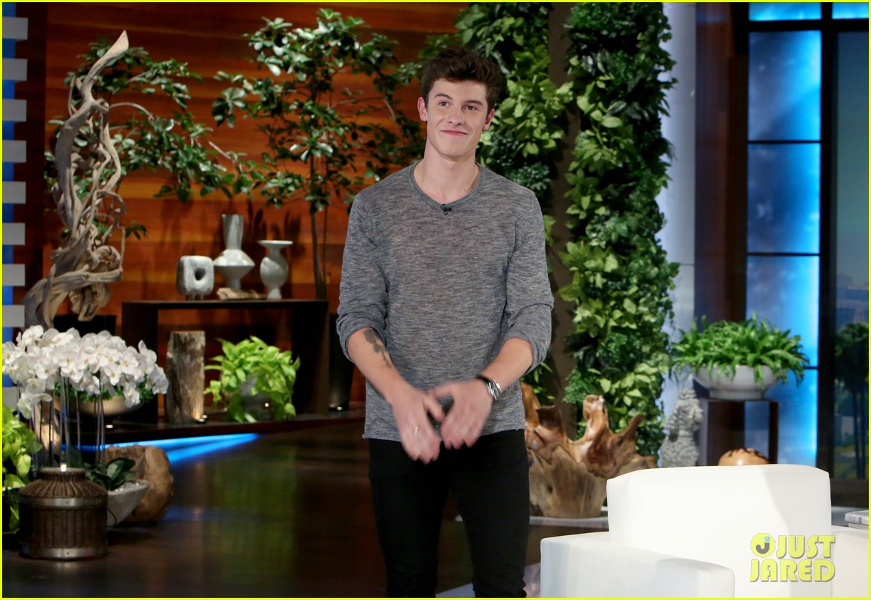 Shawn Mendes Explains His First Tattoo on 'The Ellen Show' Watch Here