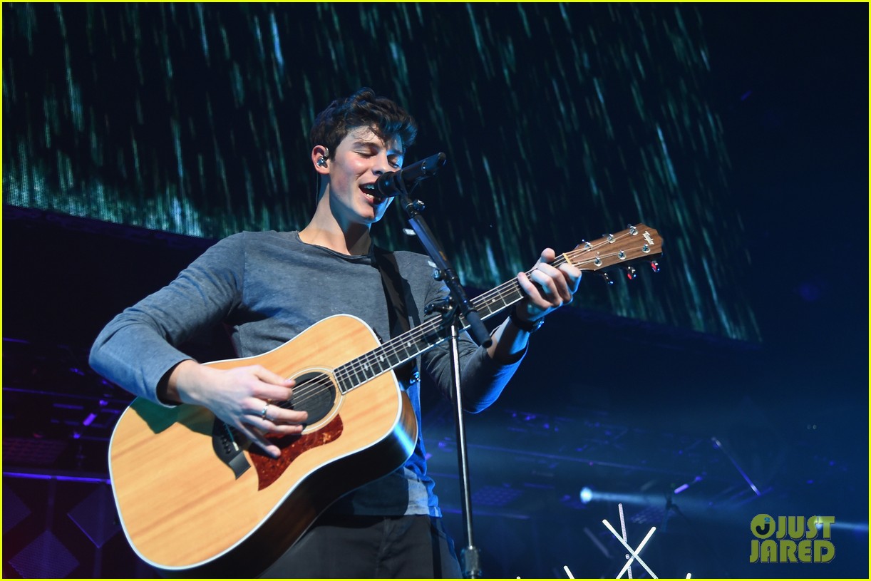 Fifth Harmony, Niall Horan, & Shawn Mendes Are Performing at New Year's(01)