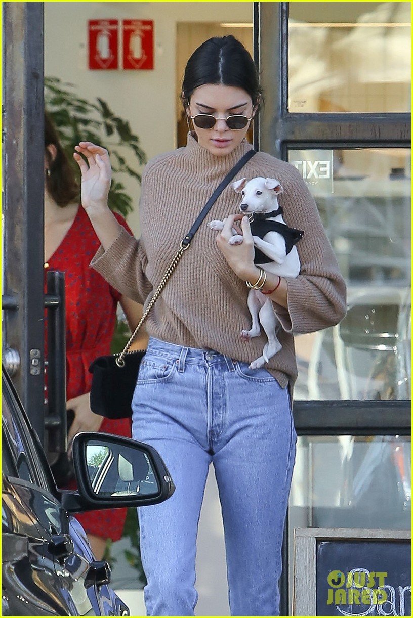 Kendall Jenner Was Joined By a Furry, Little Friend to Lunch! | Photo ...