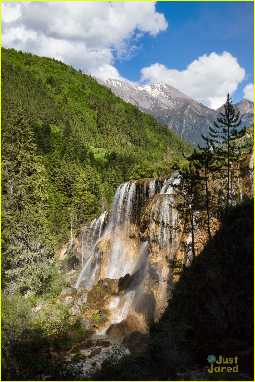 born-in-china-s-snow-leopard-storyline-will-tear-your-heart-in-pieces