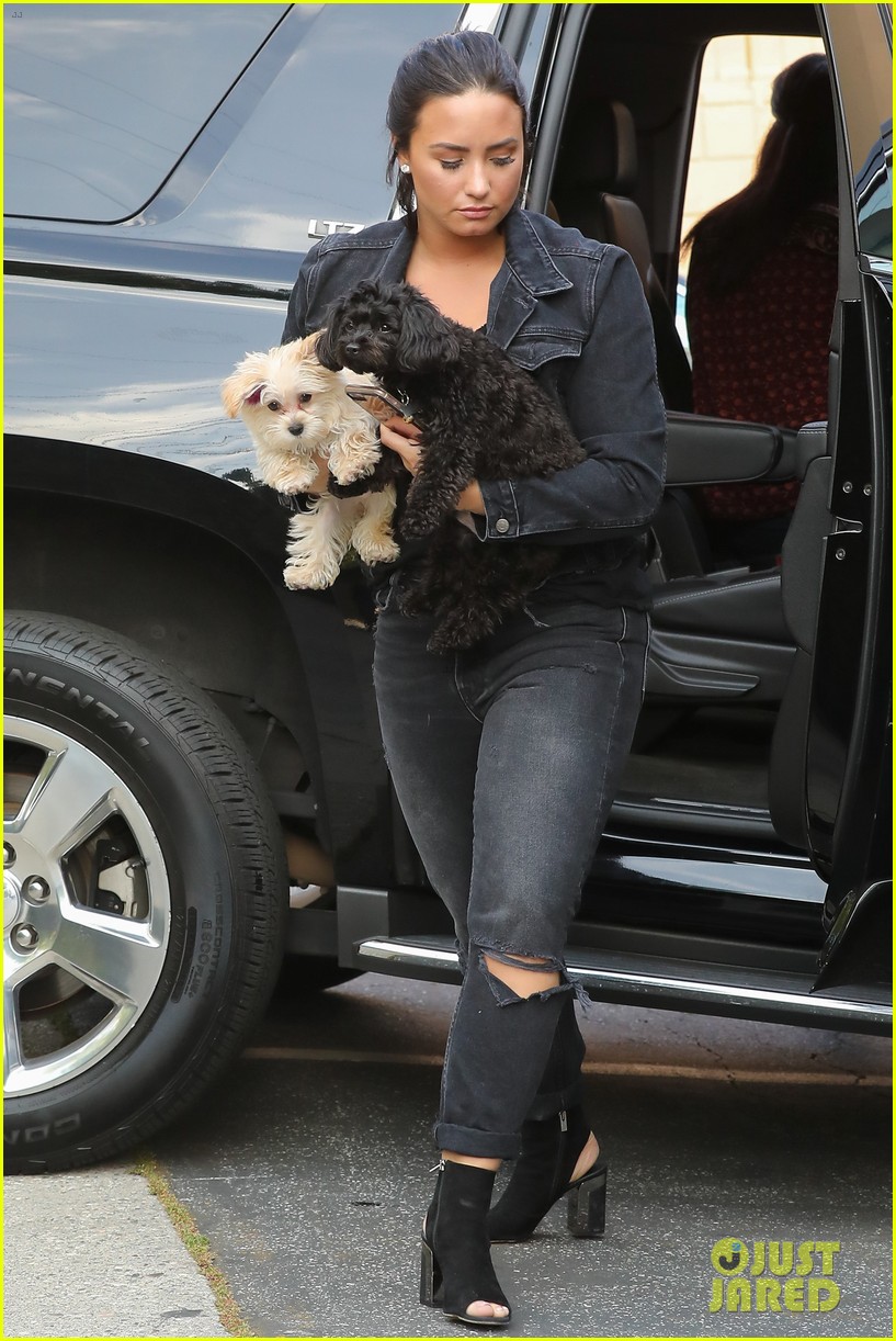 Demi Lovato Brings an Armful of Puppies to the Studio! | Photo 1079516 ...