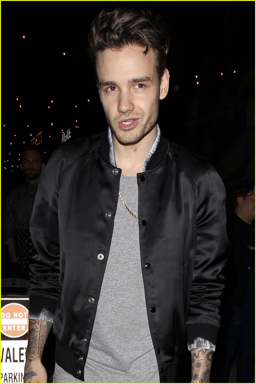 Liam Payne Spills About His Newborn Son: 'He's Great' | Photo 1082289 ...