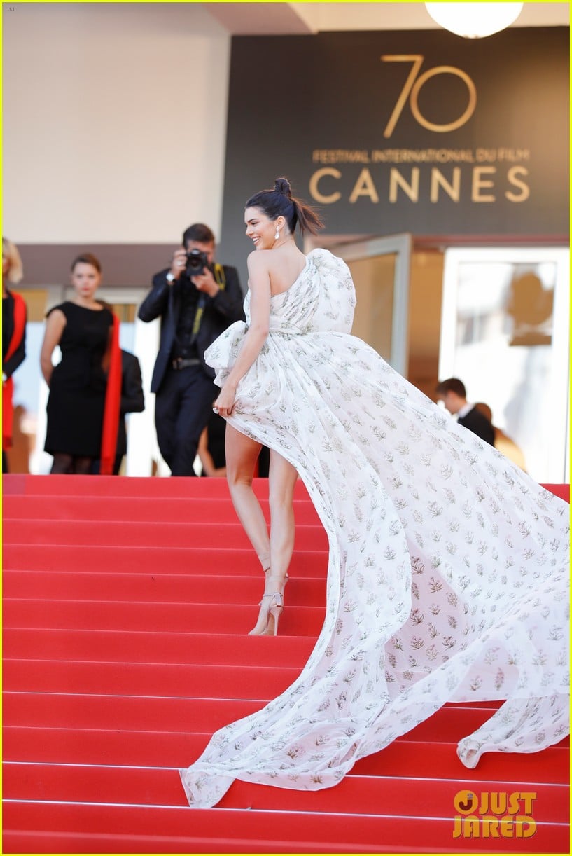 Kendall Jenner Steals the Show on Cannes Red Carpet | Photo 1089280 ...