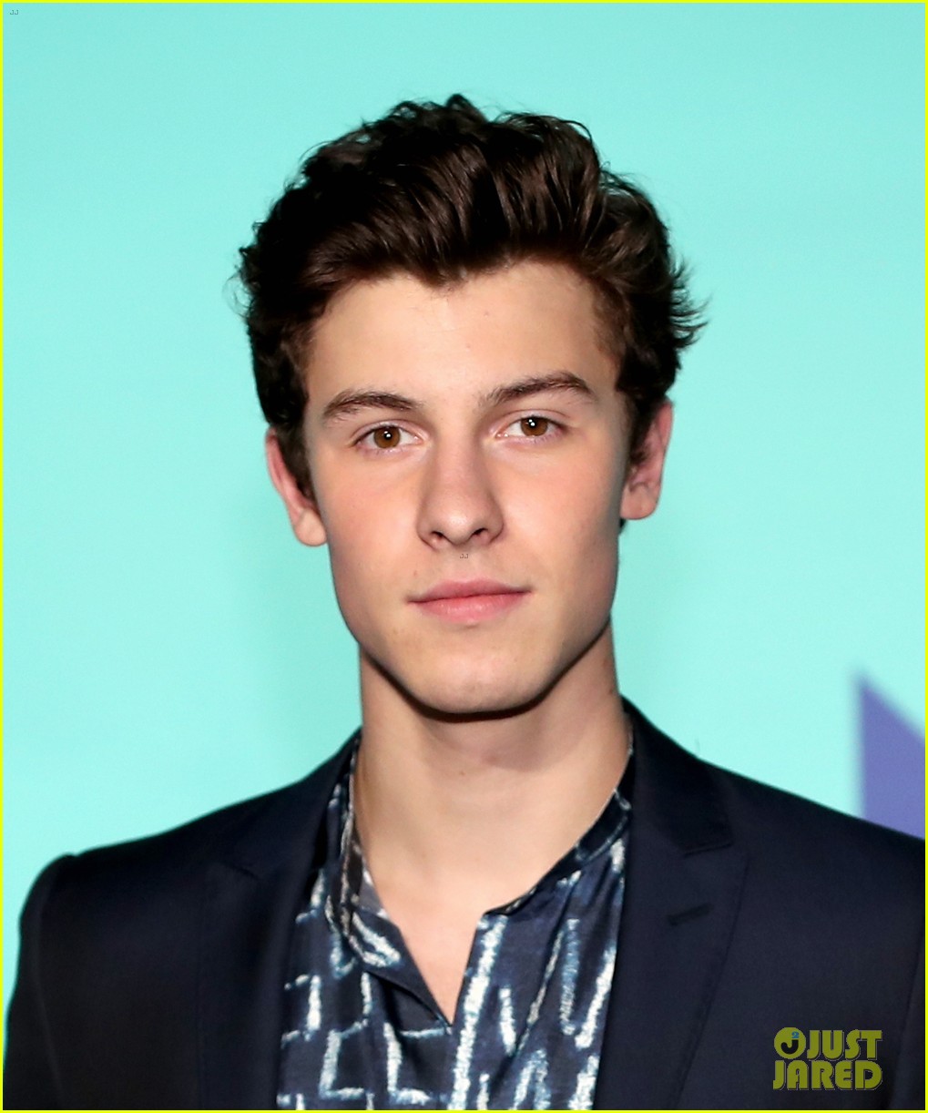 Shawn Mendes Looks So Handsome On Mtv Vmas 2017 Red Carpet Photo