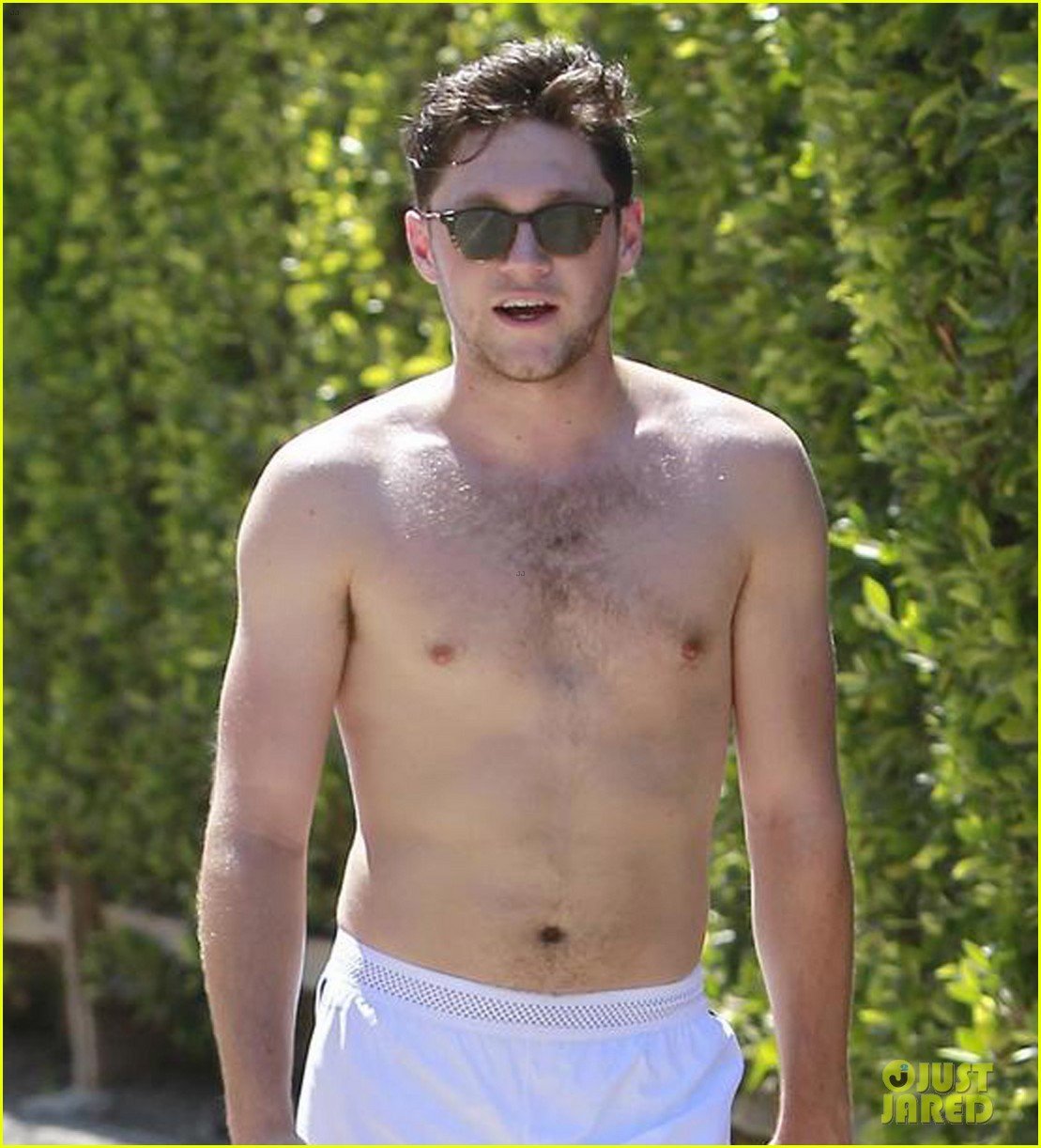 Niall Horan Gets Sweaty During Shirtless Hike! | Photo 1104334 - Photo