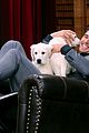 kendall jenner cuddles with puppies on tonight show 04