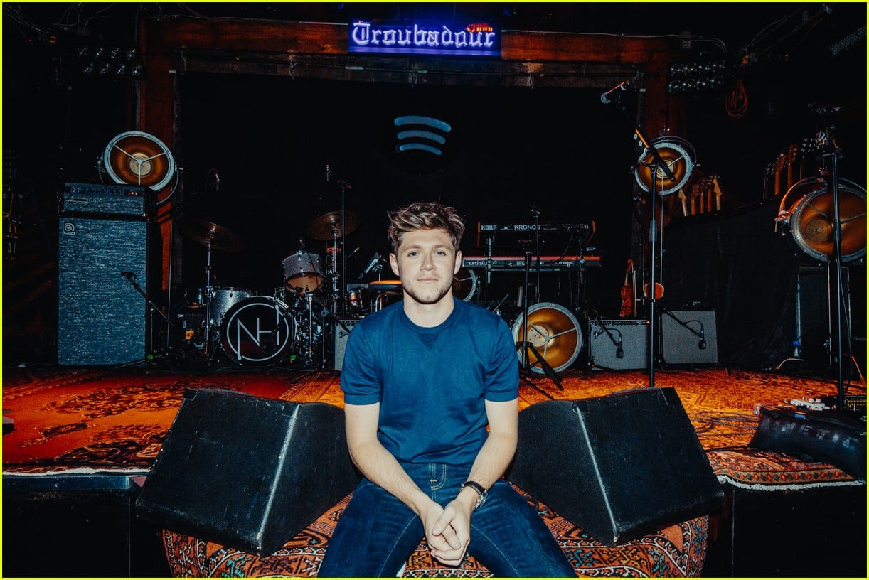 Niall Horan Unveils Official 'Flicker' Track Listing Photo 1112505
