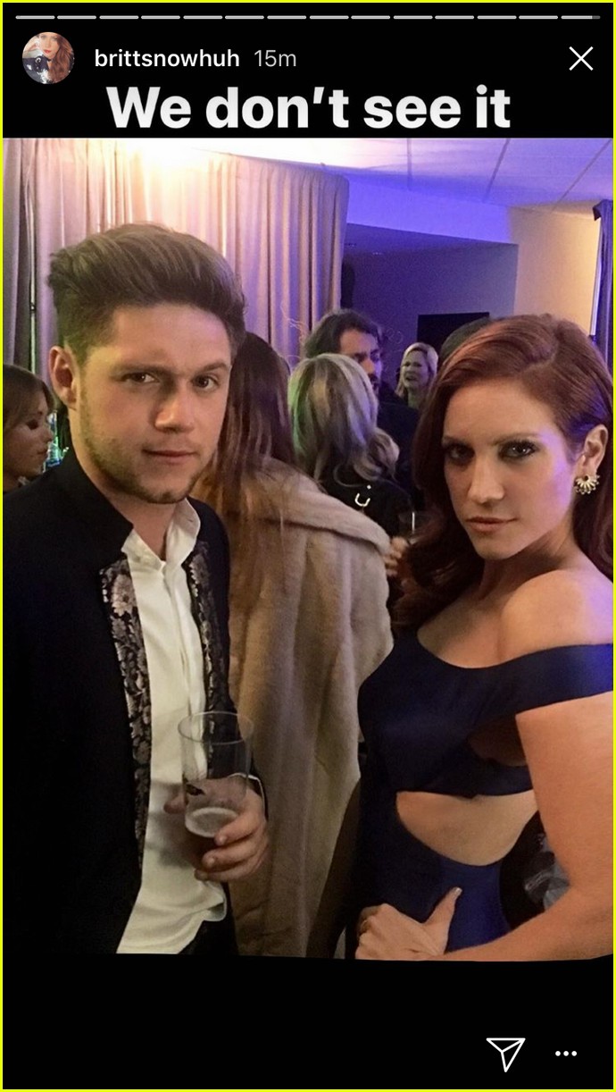 Brittany Snow & Niall Horan Meet at CMA Awards 2017 & Don't See How