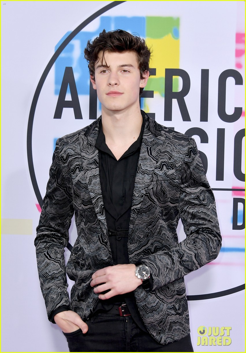 Shawn Mendes Looks So Handsome at American Music Awards 2017! Photo