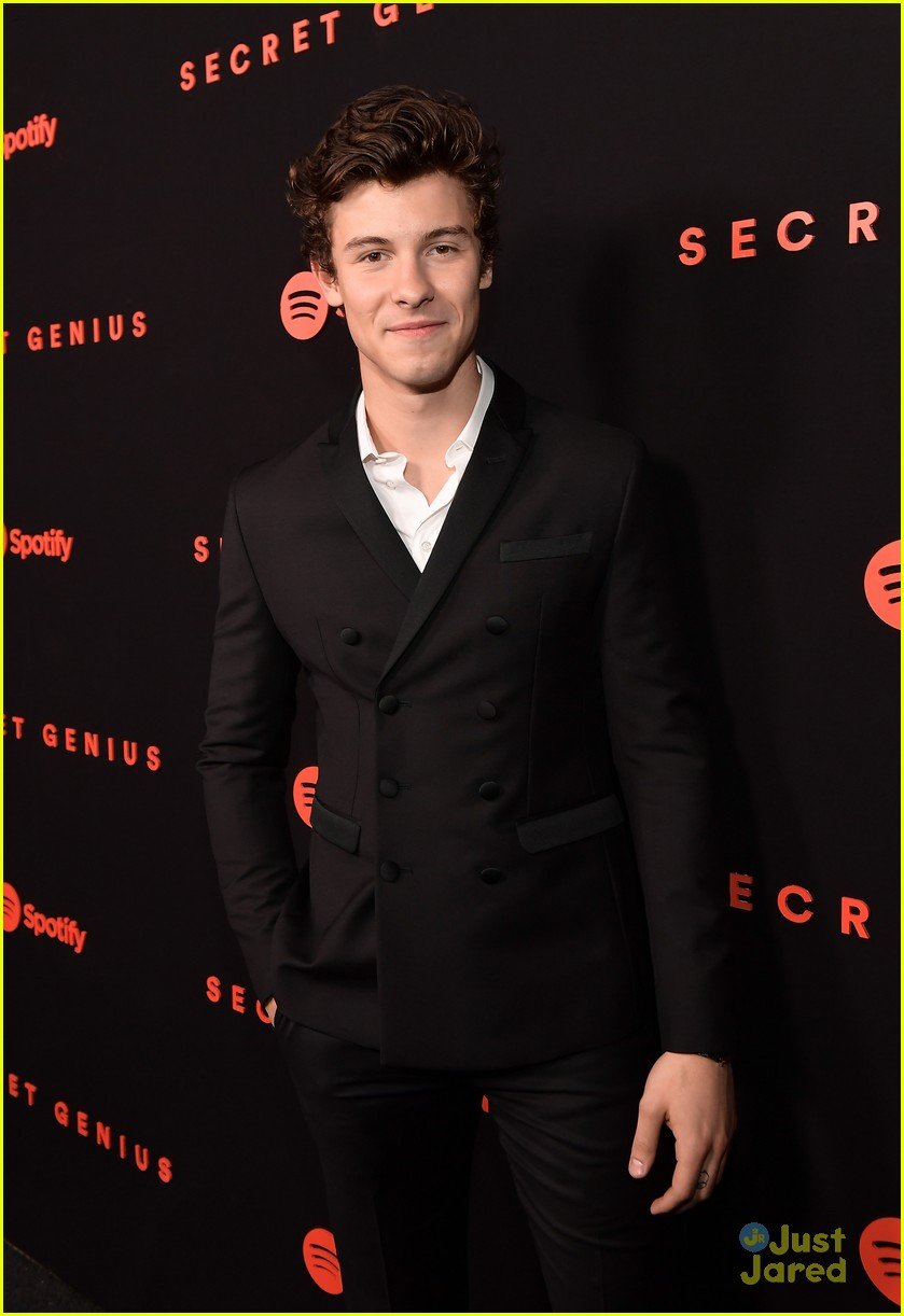 Shawn Mendes Celebrates & Performs at Spotify's Secret Genius Awards Photo 1120061 Photo