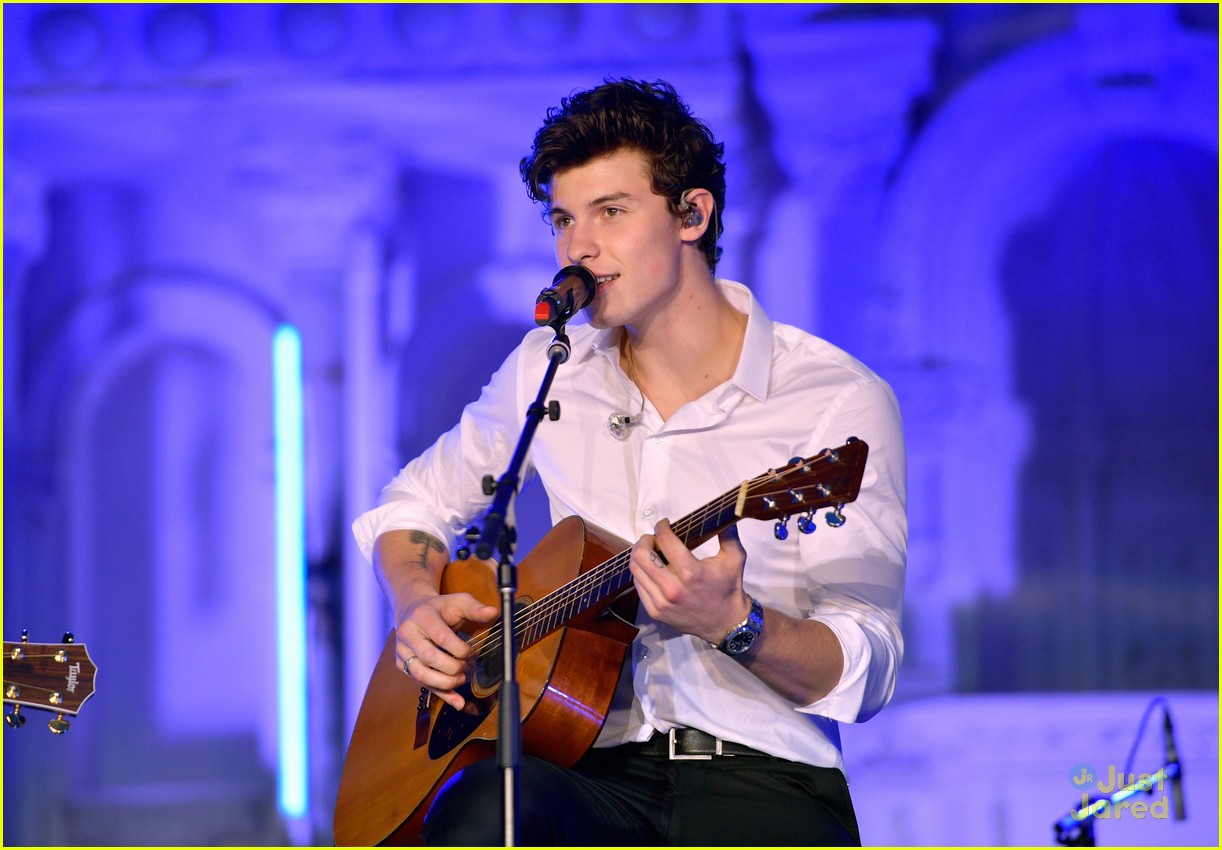 Shawn Mendes Celebrates & Performs at Spotify's Secret Genius Awards Photo 1120067 Photo