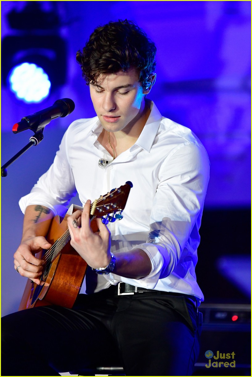 Shawn Mendes Celebrates & Performs at Spotify's Secret Genius Awards ...