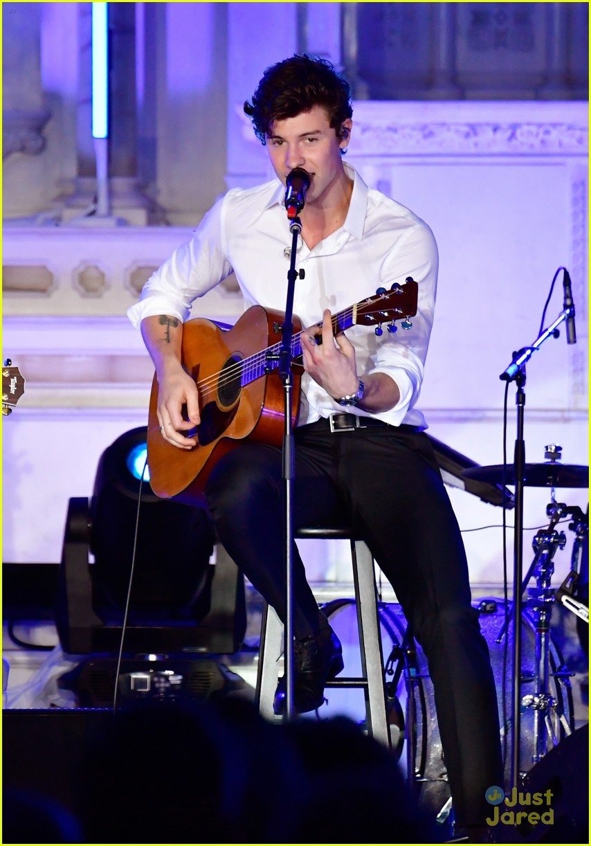 Shawn Mendes Celebrates & Performs at Spotify's Secret Genius Awards Photo 1120081 Photo