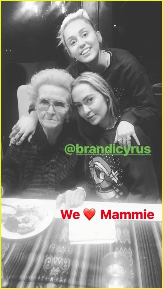 miley cyrus is celebrating christmas with her siblings pets 02