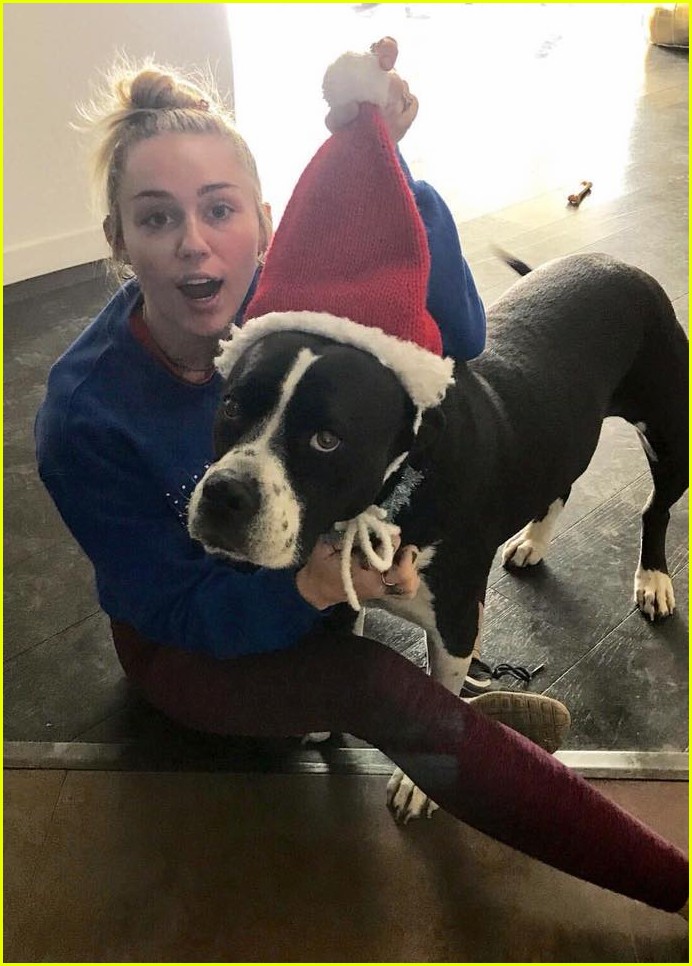 miley cyrus is celebrating christmas with her siblings pets 05
