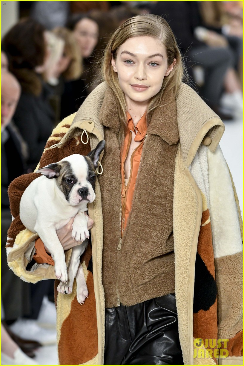 Gigi & Bella Hadid Cuddle With Puppies at Tod's Milan Fashion Week Show