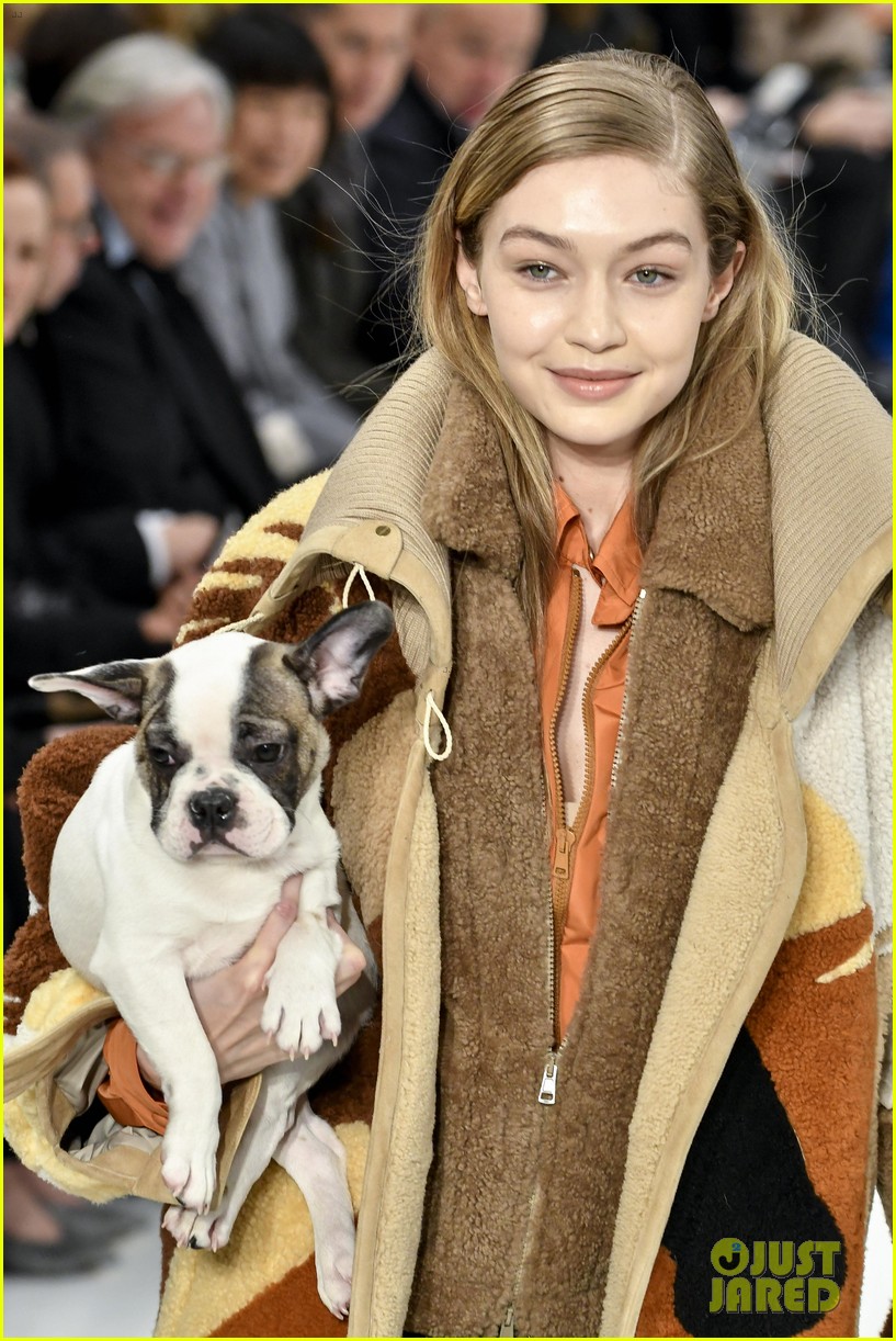 Gigi & Bella Hadid Cuddle With Puppies at Tod's Milan Fashion Week Show