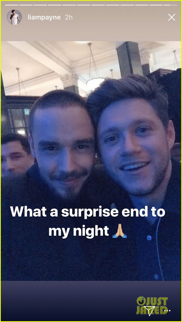 Liam Payne Reunites With Niall Horan At Brits After Party Photo 1141771 Photo Gallery Just 