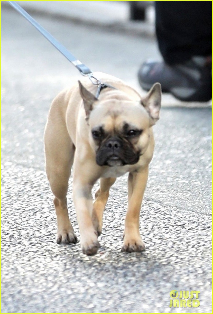Sarah Jeffery Walks Adorable Pup Monty Ahead of 'Charmed' Filming