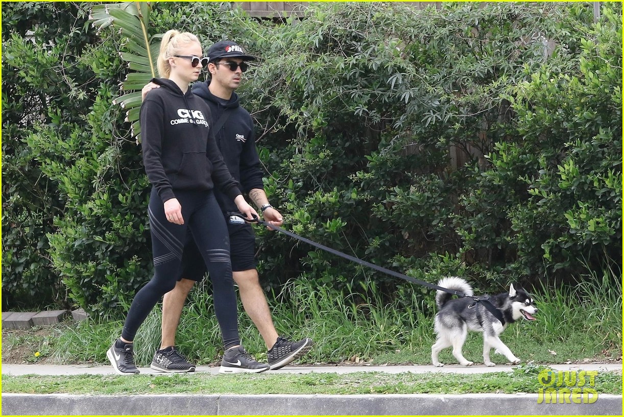 Joe Jonas & Sophie Turner Walk Their Super Cute Puppy Porky | Photo