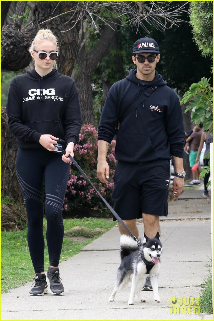 Joe Jonas & Sophie Turner Walk Their Super Cute Puppy Porky | Photo