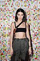 kendall jenner flaunts abs at coachella party 16